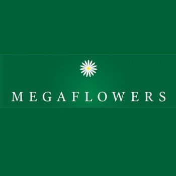 Megaflowers