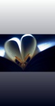 Weddingpro