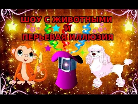 Шоу с животными и перьевая иллюзия